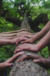 Read more about the article The Role of Shared Spaces in Community Growth