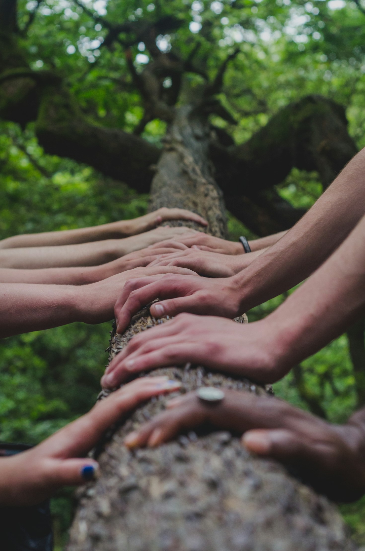 Read more about the article The Role of Shared Spaces in Community Growth